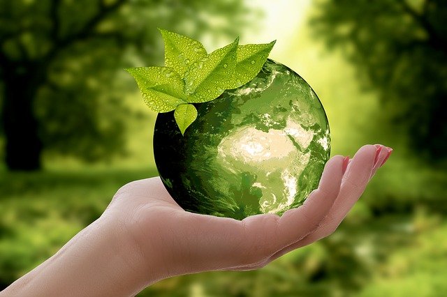 5 Simple Ways to Become A More Sustainable Person Today